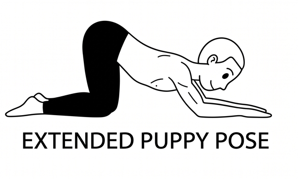 Visual sketch of Extended Puppy Pose (Uttana Shishosana)